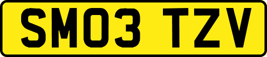 SM03TZV