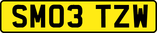 SM03TZW