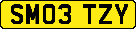 SM03TZY