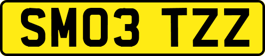 SM03TZZ