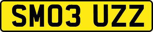 SM03UZZ