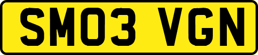 SM03VGN