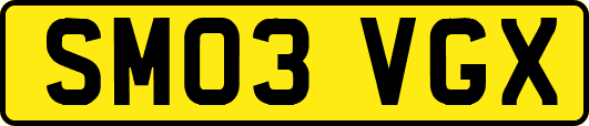 SM03VGX