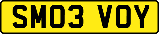 SM03VOY