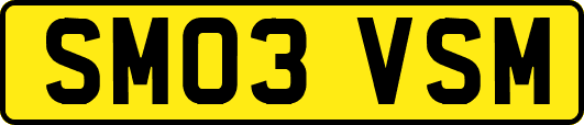 SM03VSM