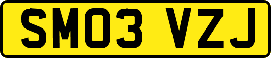 SM03VZJ