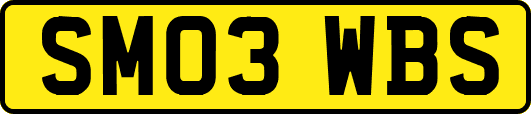 SM03WBS