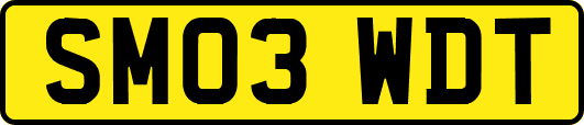 SM03WDT