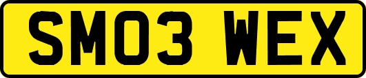 SM03WEX