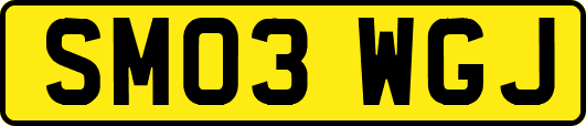 SM03WGJ