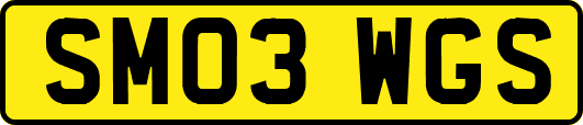 SM03WGS