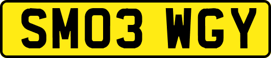 SM03WGY