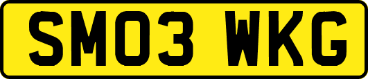 SM03WKG
