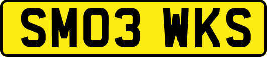 SM03WKS