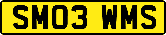 SM03WMS
