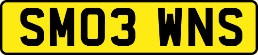 SM03WNS