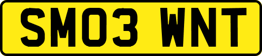 SM03WNT