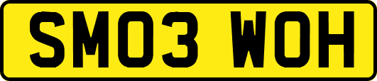 SM03WOH