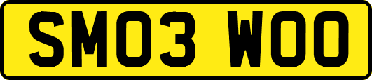 SM03WOO