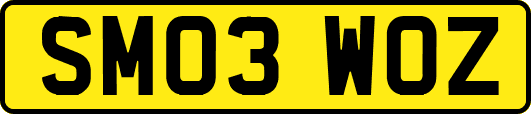 SM03WOZ