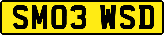 SM03WSD