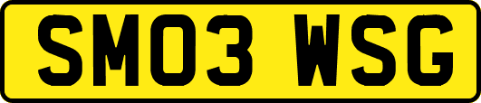 SM03WSG