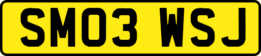 SM03WSJ