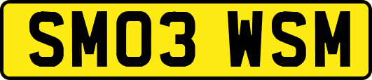 SM03WSM
