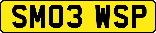 SM03WSP