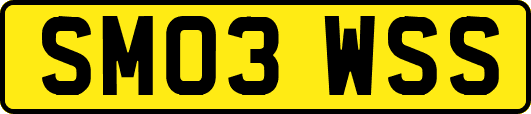 SM03WSS
