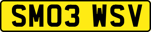 SM03WSV