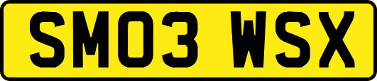 SM03WSX