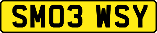 SM03WSY