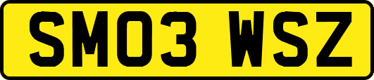 SM03WSZ