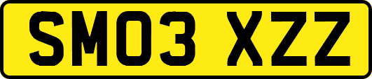 SM03XZZ