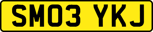 SM03YKJ