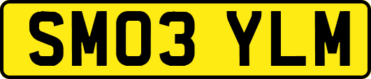 SM03YLM