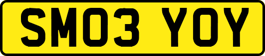 SM03YOY