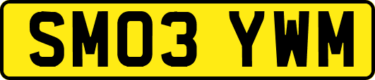 SM03YWM
