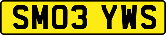 SM03YWS
