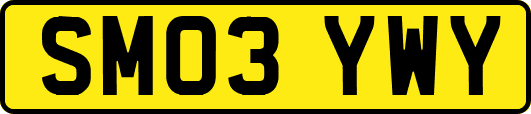SM03YWY