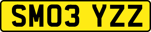 SM03YZZ