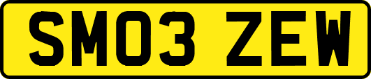 SM03ZEW