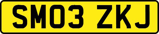 SM03ZKJ