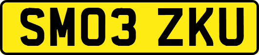 SM03ZKU