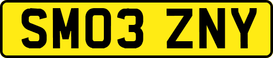 SM03ZNY