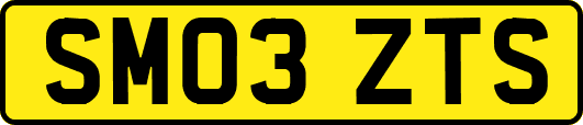SM03ZTS