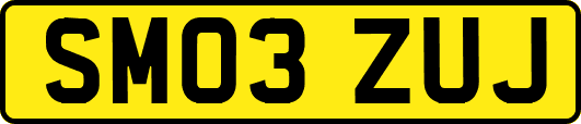 SM03ZUJ