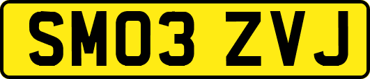SM03ZVJ