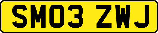 SM03ZWJ